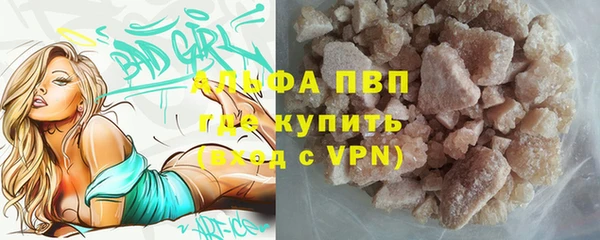 гашик Алексеевка
