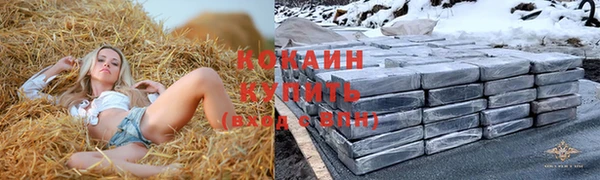 МДПВ Алексин