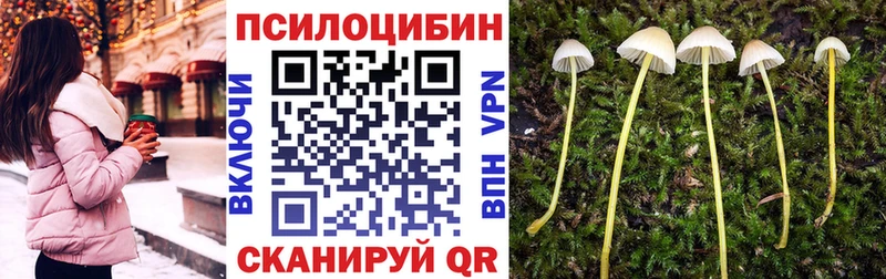mega ссылка  Чапаевск  Галлюциногенные грибы мицелий 