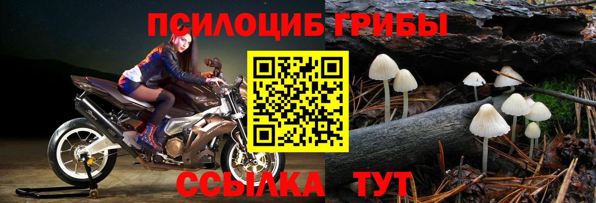 Чапаевск  Галлюциногенные грибы мухоморы  Псилоцибиновые грибы ЛСД  Вход с VPN 