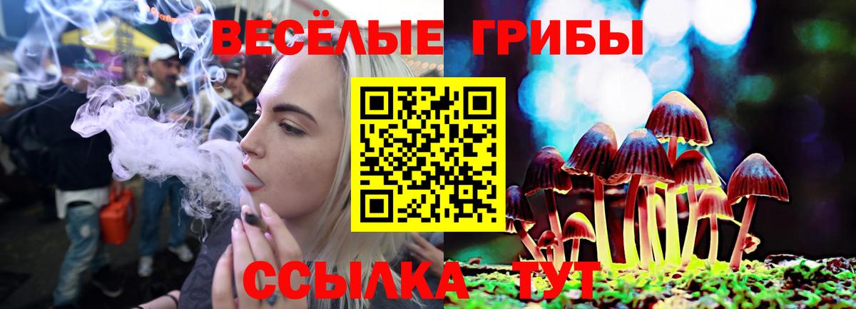 Галлюциногенные грибы Magic Shrooms Чапаевск